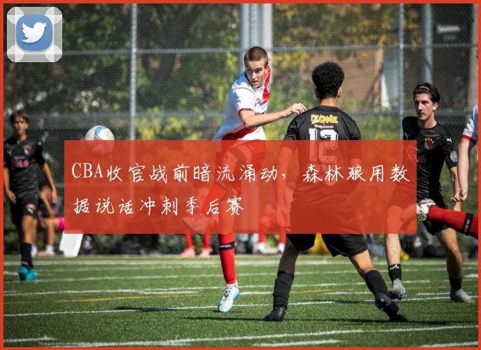 CBA收官战前暗流涌动，森林狼用数据说话冲刺季后赛