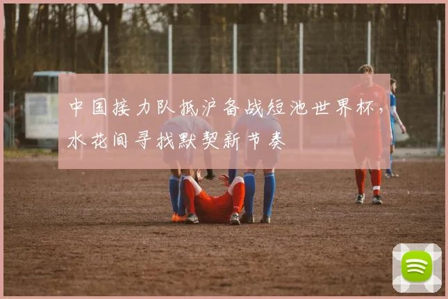中国接力队抵沪备战短池世界杯，水花间寻找默契新节奏