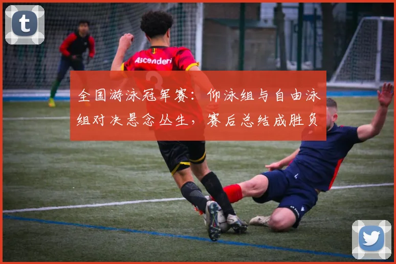 全国游泳冠军赛：仰泳组与自由泳组对决悬念丛生，赛后总结成胜负关键