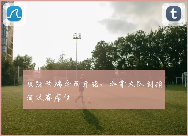 攻防两端全面开花，加拿大队剑指淘汰赛席位