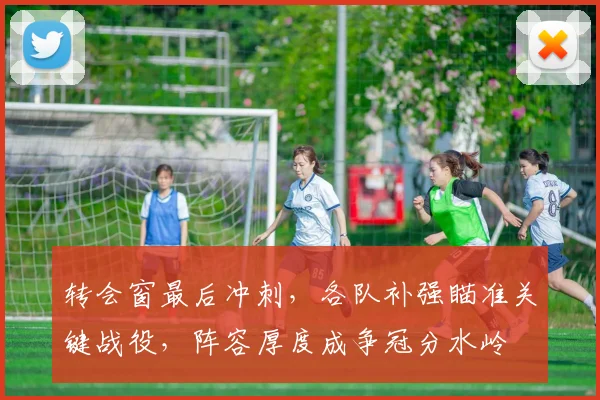 转会窗最后冲刺，各队补强瞄准关键战役，阵容厚度成争冠分水岭